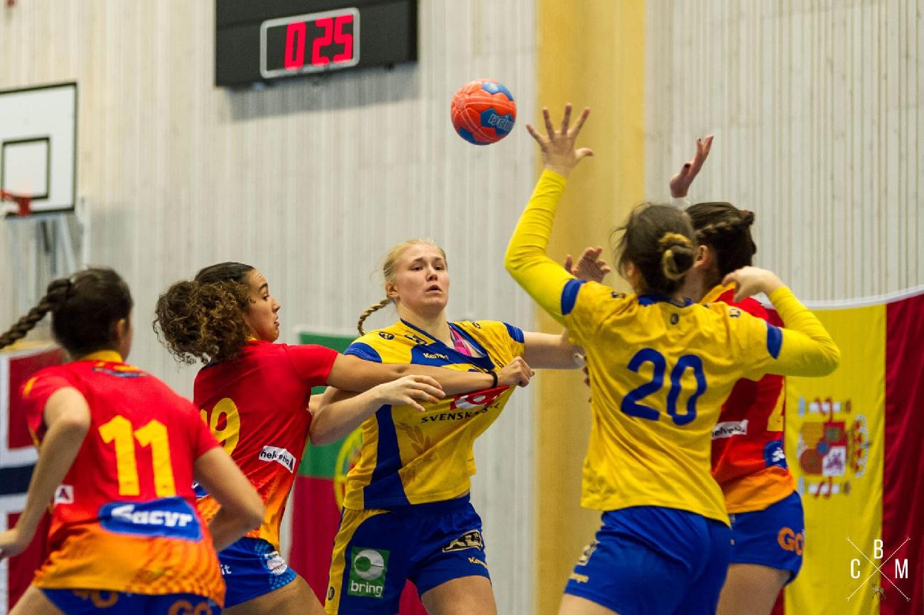 Encuentro Suecia - Espa&ntilde;a Scandib&eacute;rico 2017